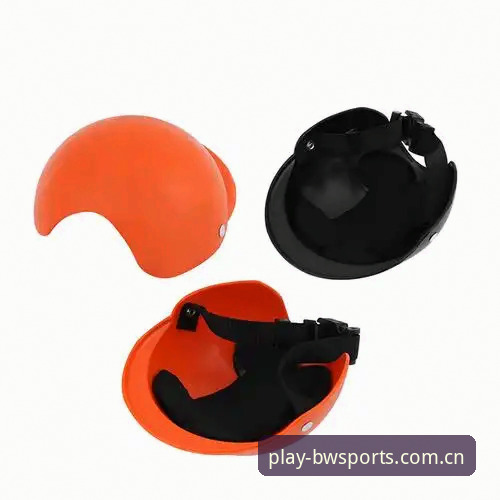 揭秘BWSPORTS怎么用使用指南：从新手到达人的进阶真相